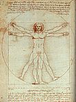 Leonardo. Inimese proportsioonid. Leheklg mrkmetest.